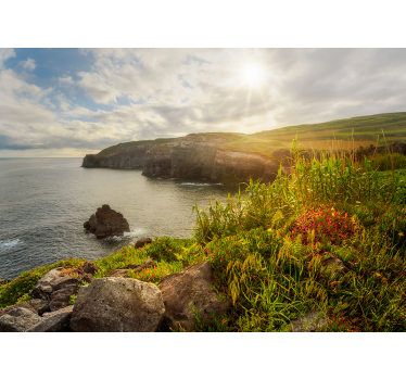 Fototapet peisaje vedere stânci de coastă - TenStickers