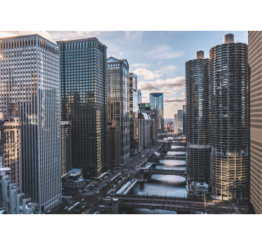 Fototapet de oraș vedere asupra orizontului din chicago - TenStickers