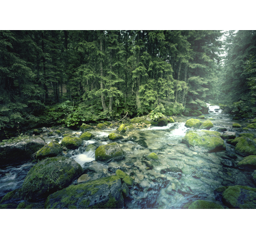 Pictură de pădure cu frunze și râu - TenStickers