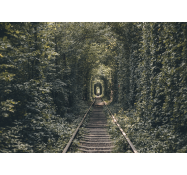 Tunel de cale ferată de copaci tapet fotografic - TenStickers