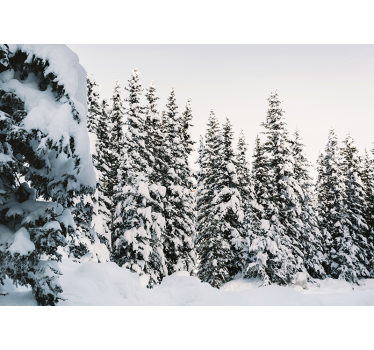 Fototapet natura brazi acoperiți de zăpadă - TenStickers