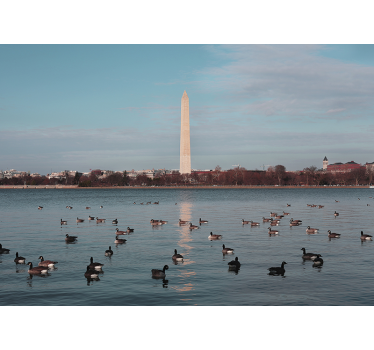 Fototapet de oraș reflexie monument washington - TenStickers