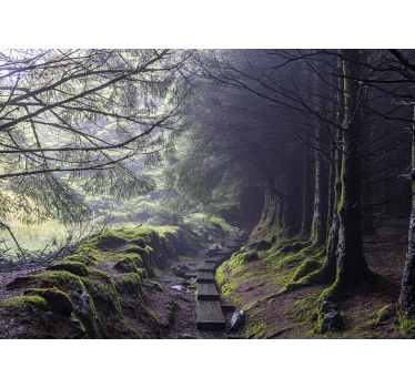 Tapet mural de pădure întunecată irlanda pădure - TenStickers