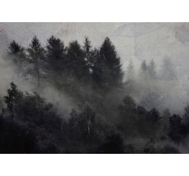 Păduri fototapet atmosferă cețoasă - TenStickers
