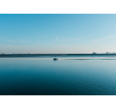 Pescuit în aveiro sub muralul muralului - TenStickers