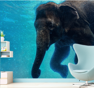 Fototapet mare elefant subacvatic - TenStickers