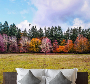 Fototapet natura pădurea colorată de toamnă - TenStickers
