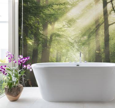 Fototapet natura peisaj de pădure radiant - TenStickers