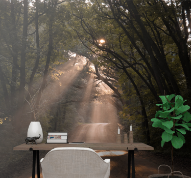 Fototapet natura poteca strălucitoare din pădure - TenStickers
