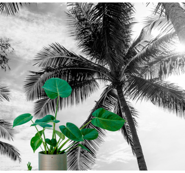 Fototapet mare scena de palmier tropical - TenStickers