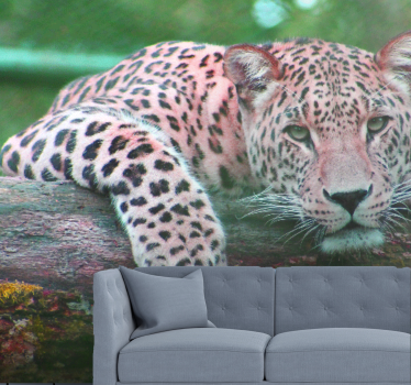 Jaguar junglă pădure animale murală cameră de zi - TenStickers
