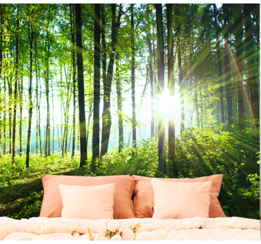 Păduri fototapet priveliște de pădure îmbăiată în soare - TenStickers