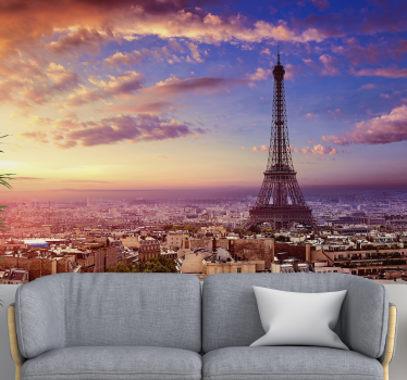 Paris view by air city mural mural - TenStickers
