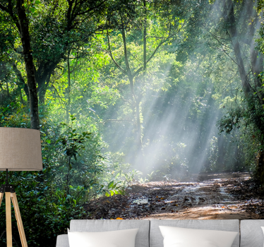 Tapet mural lumina cu padure soare - TenStickers