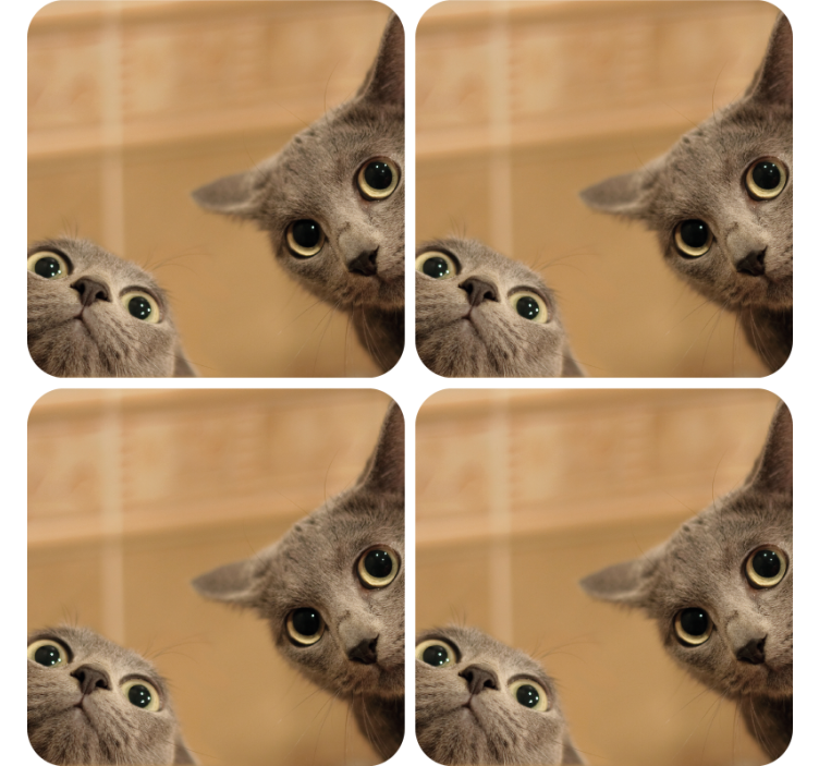 Set de coaster modern pisici drăguțe - TenStickers