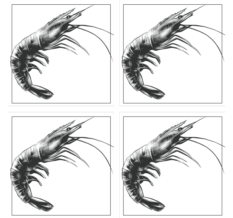 Suporturi pahare moderne ilustrație creveți stilizată - TenStickers