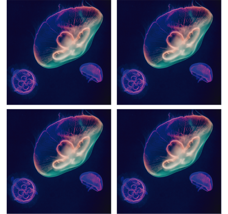 Suporturi pahare geeks creaturi meduze colorate - TenStickers