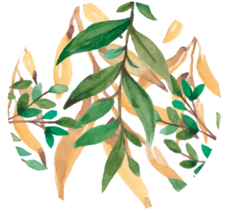 Suporturi pahare de bere botanica verde frunzoasă - TenStickers