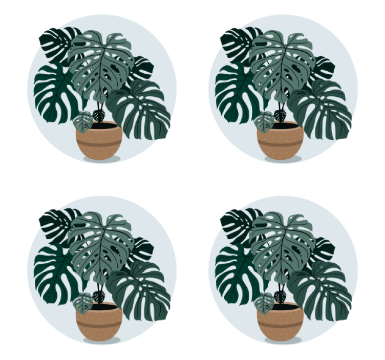 Suporturi pahare moderne ilustrație monstera - TenStickers