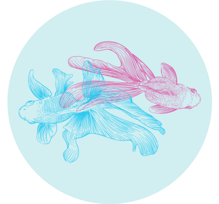 Suporturi pahare geeks ilustrații pești bicolori - TenStickers