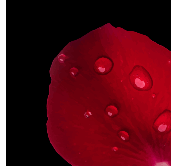 Suporturi pahare petale de trandafir umede - TenStickers