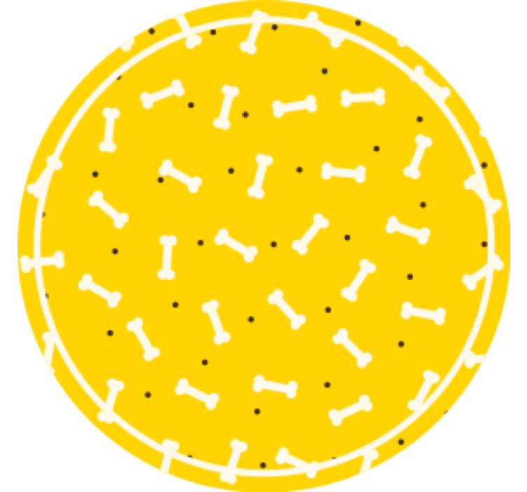 Suporturi pahare geeks model rotund cu motive osoase - TenStickers