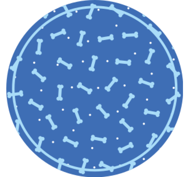 Suporturi pahare cu model cerc osos - TenStickers