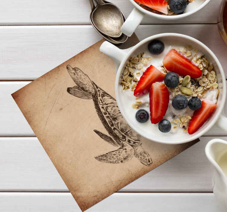 Broasca testoasa vintage coaster - TenStickers