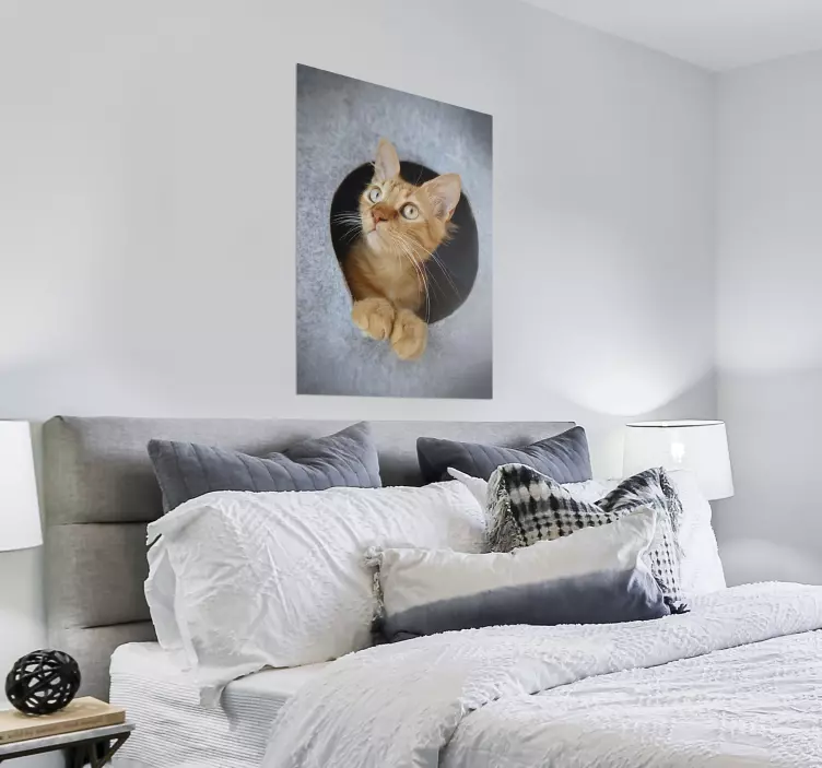 Design de imprimare a posterului pisicii cu privirea - TenStickers