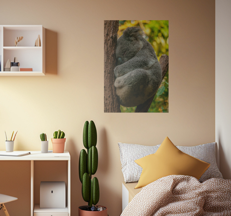 Poster tineret koala dormind - TenStickers