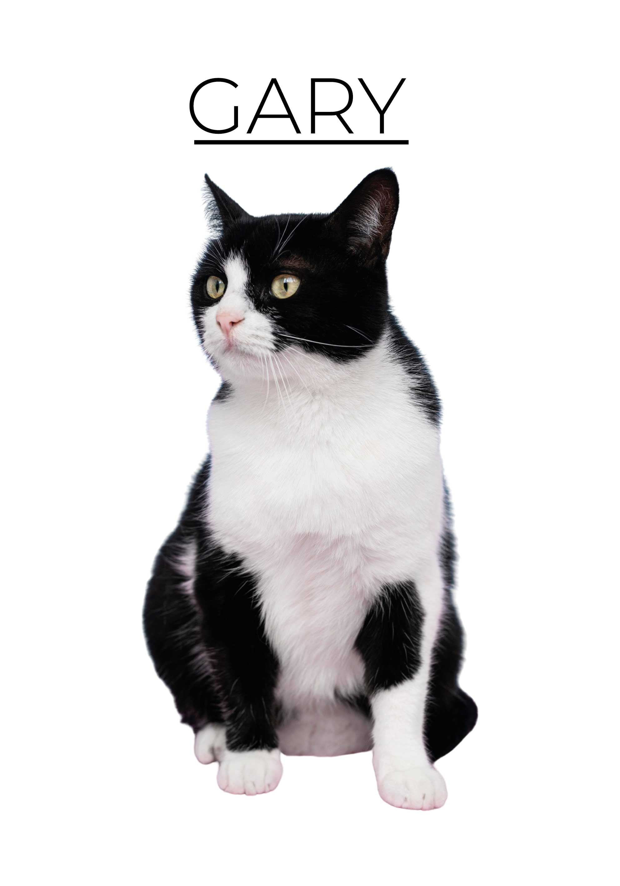 Poster cu alte animale minimalist personalizat - TenStickers