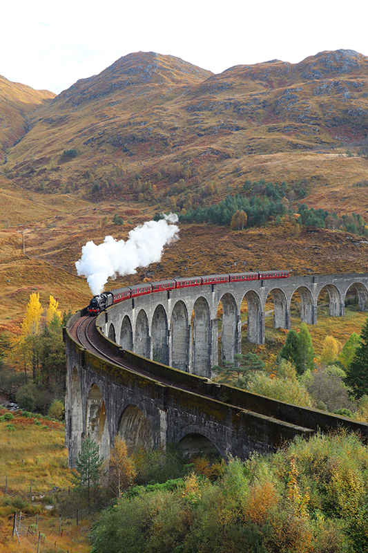 Poster foto realist trenul în mișcare - TenStickers