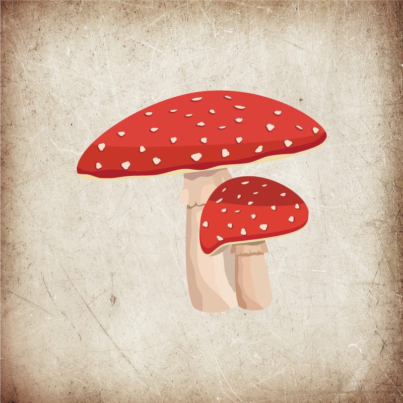 Poster pentru bucătărie ilustrație ciupercă amanita - TenStickers