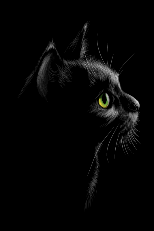 Poster pentru salon pisici cu ochi verzi - TenStickers