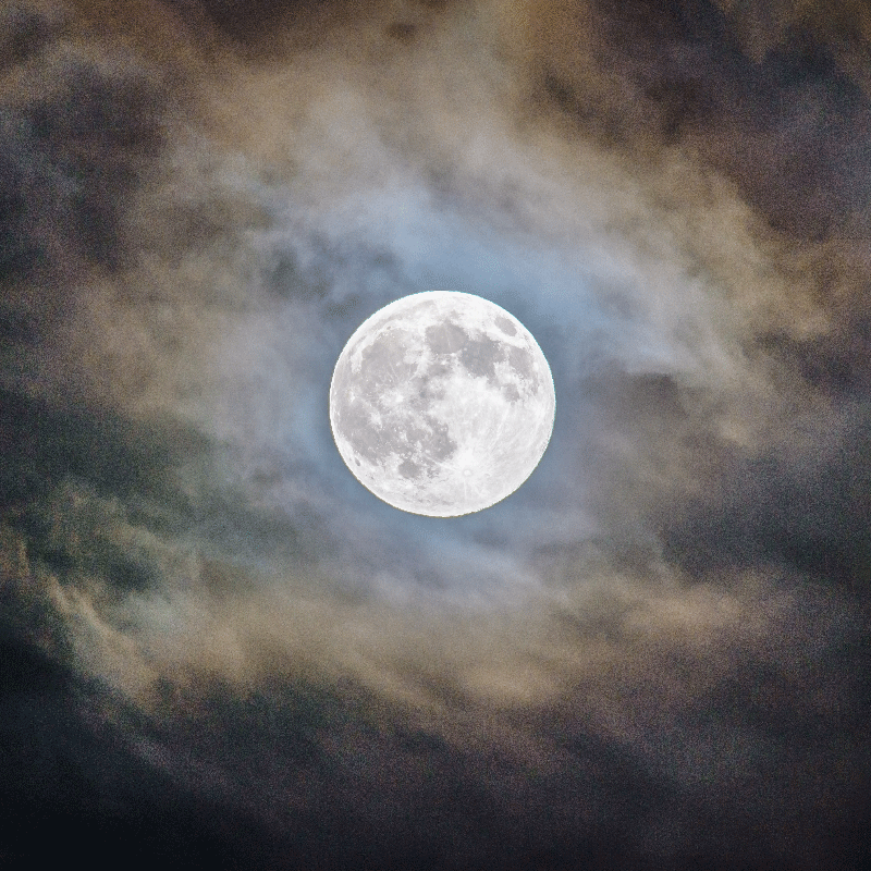 Poster pentru salon noaptea lunii pline - TenStickers