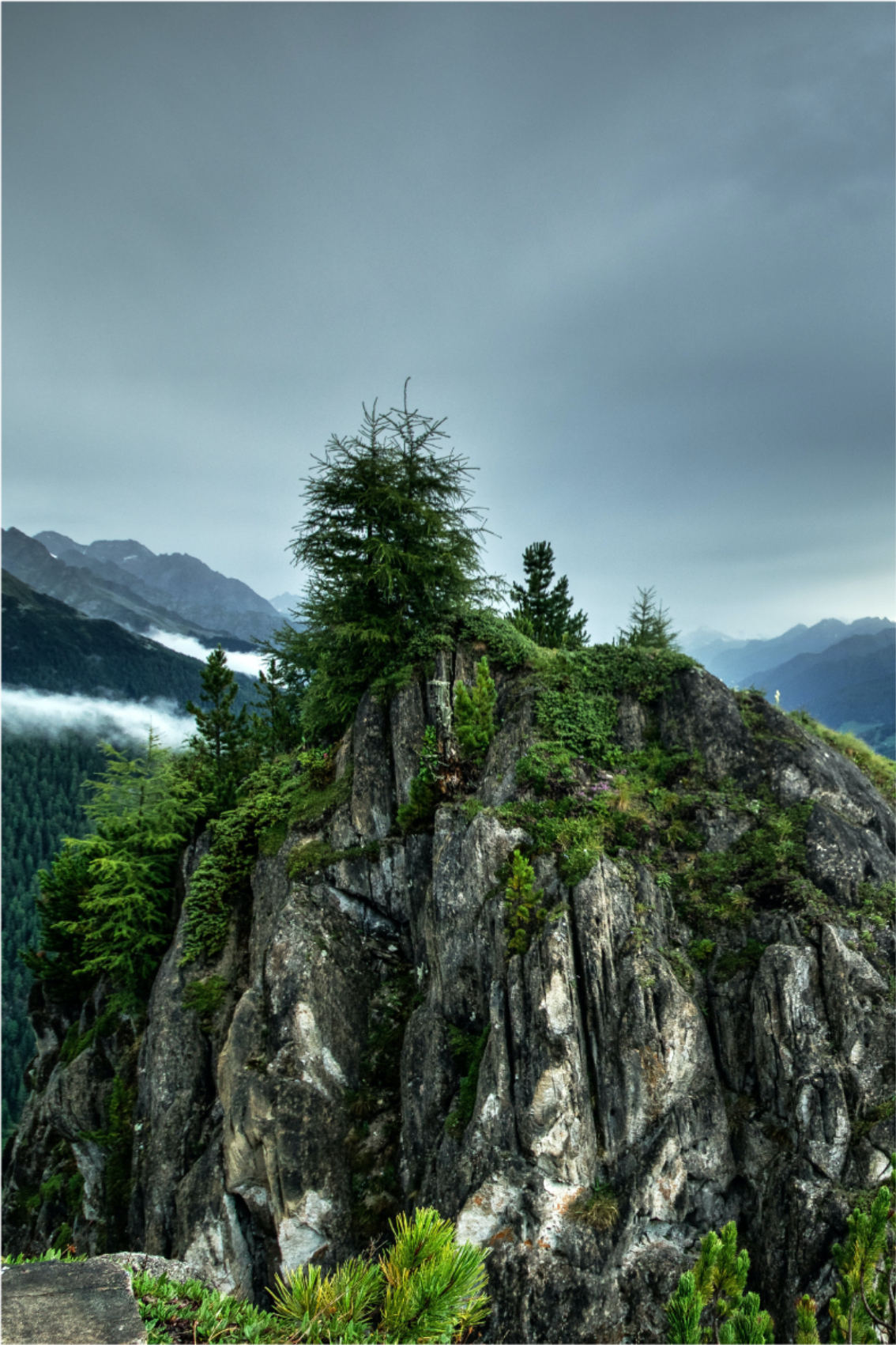 Poster pentru salon stâncă solitară în pădure verde - TenStickers