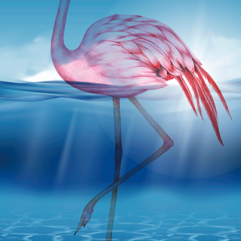 Poster pentru salon design subacvatic cu flamingo - TenStickers
