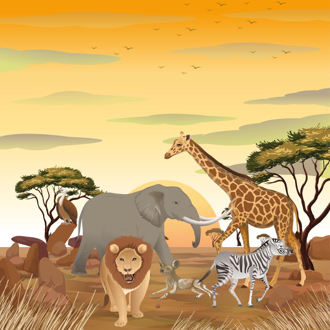 Poster pentru copii cu animale africane și plante - TenStickers