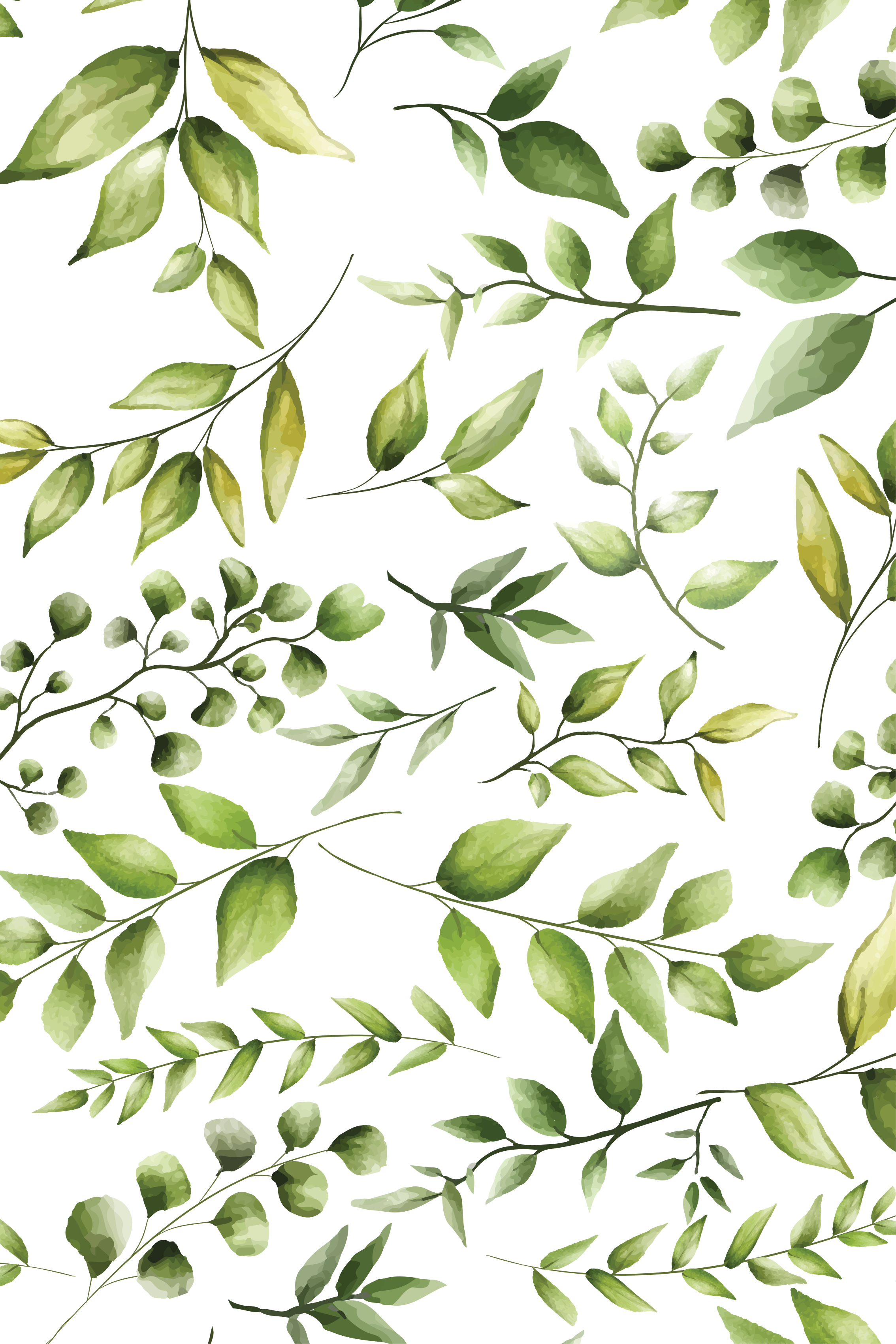 Poster cu plante frunze de eucalipt acuarelă - TenStickers