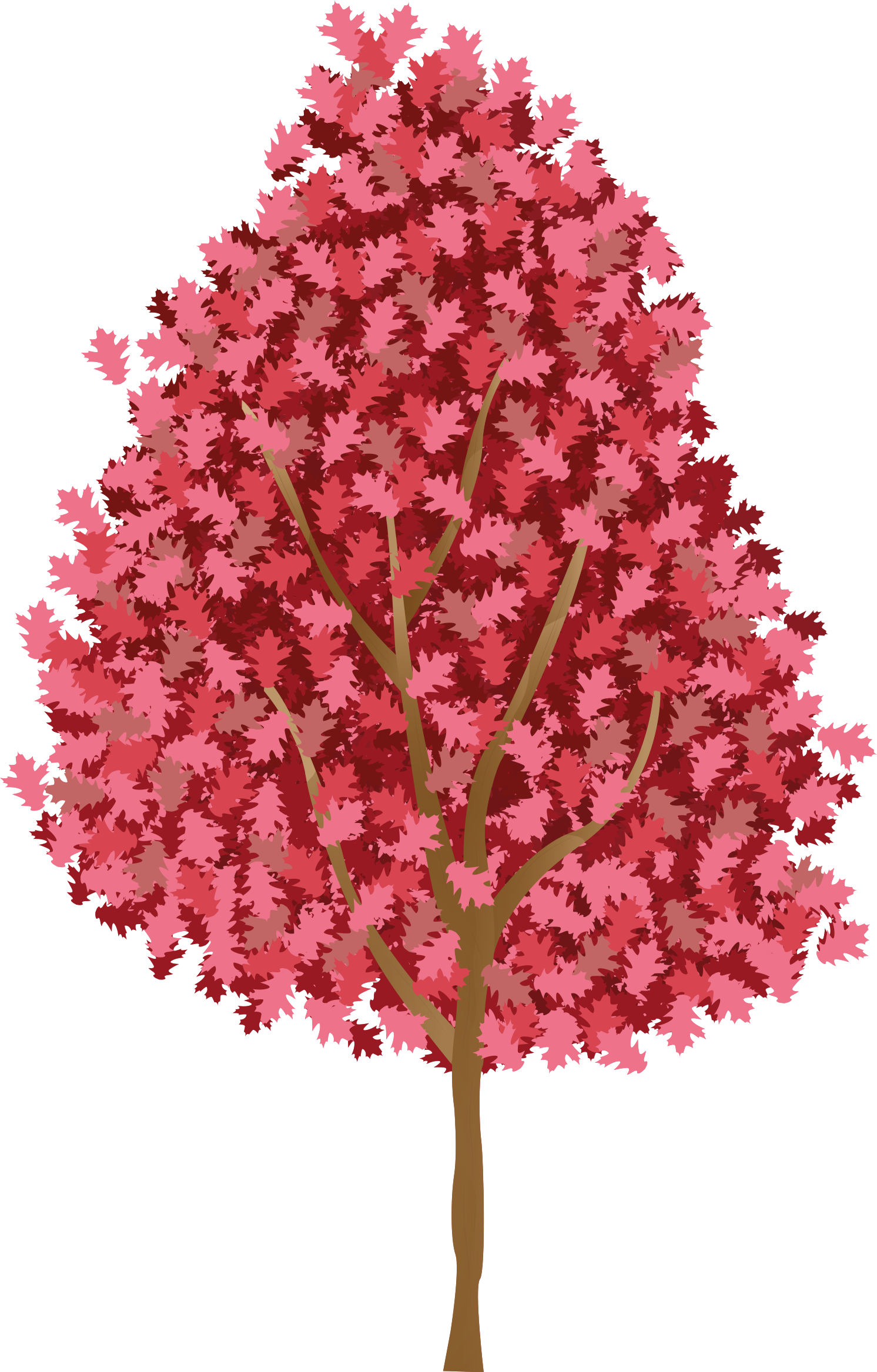 Poster cu copaci cu flori roz - TenStickers