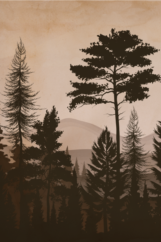 Poster cu copaci pădure caldă în stil scandinav - TenStickers