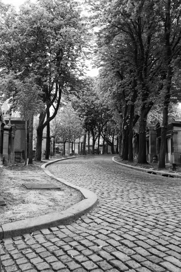 Poster cu peisaje vinil alb și negru - TenStickers