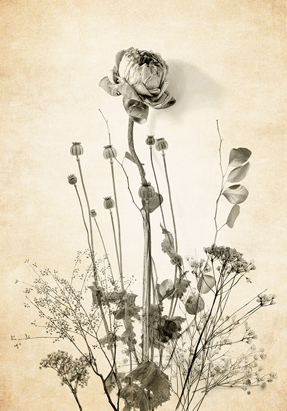 Poster cu flori buchet de flori pe fundal bej - TenStickers