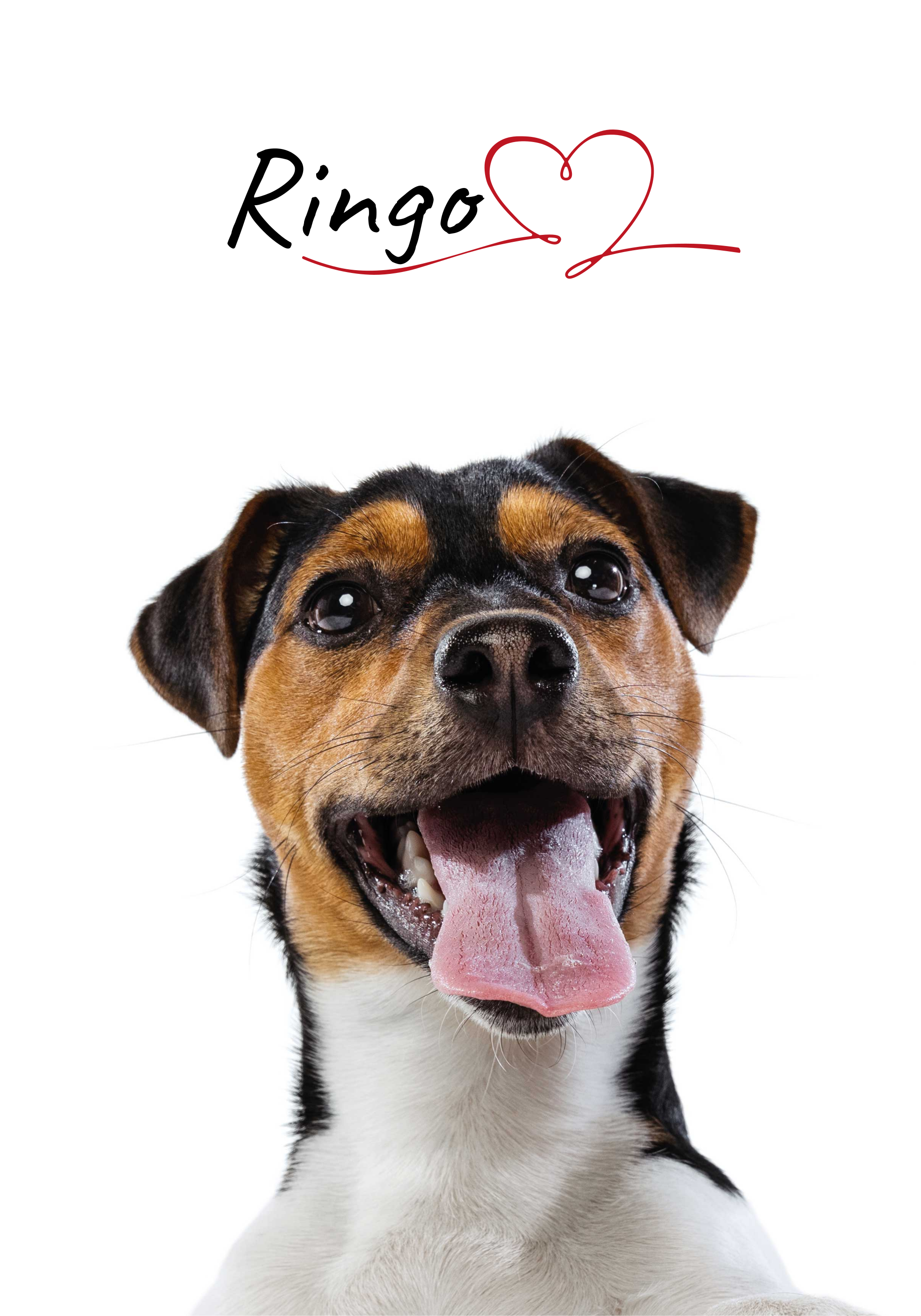 Poster personalizat de dragoste de câine pentru perete - TenStickers