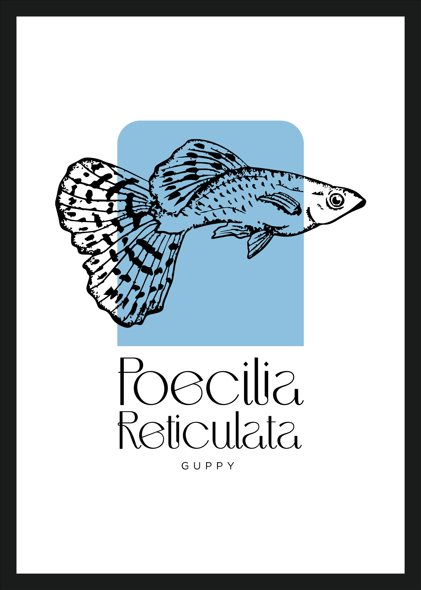 Poster cu pește pește Guppy - TenStickers
