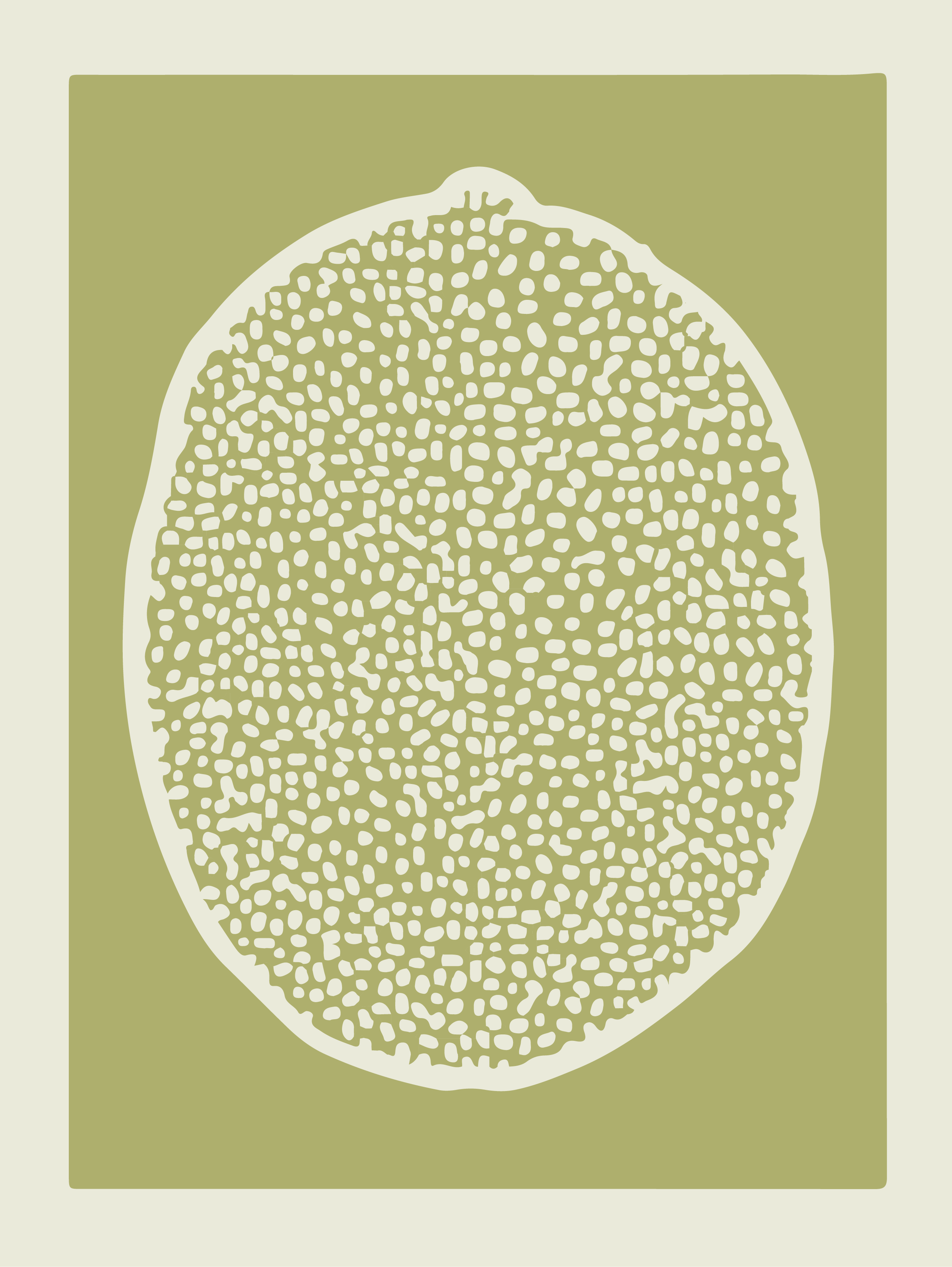 Poster scandinav felii de lime - TenStickers