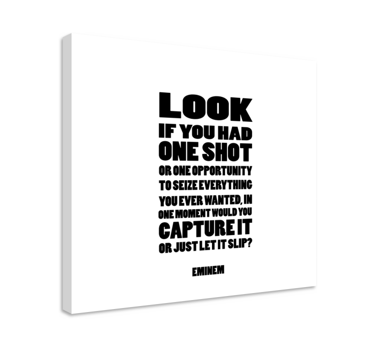 One shot cântec liric muzică artă pânză - TenStickers