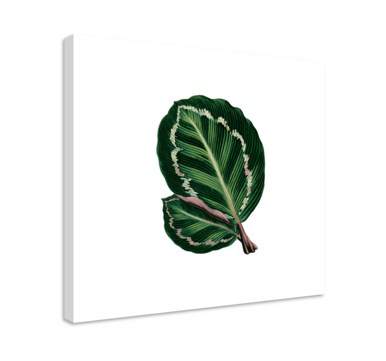 Tablou flori şi plante design cu frunze mari - TenStickers