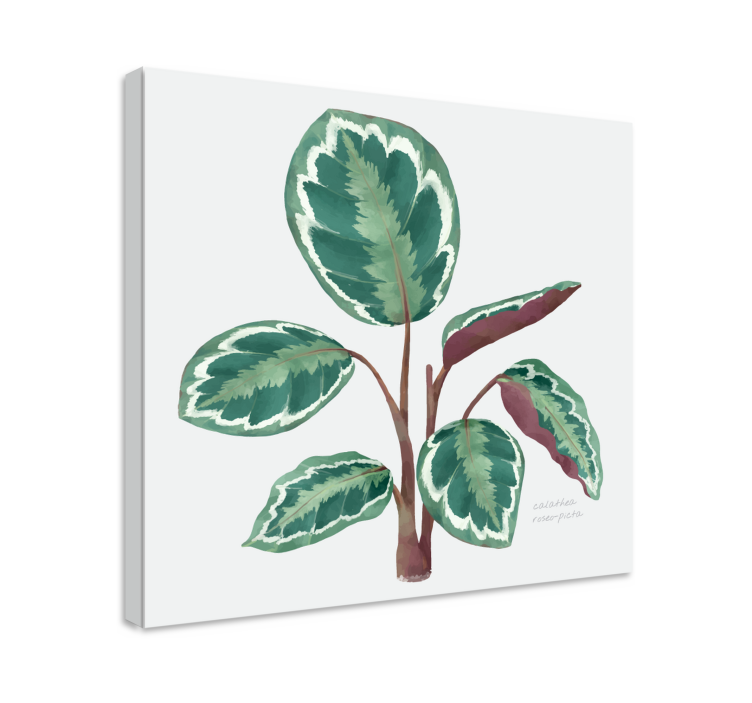 Tablou flori şi plante planta cu frunze vibrante - TenStickers