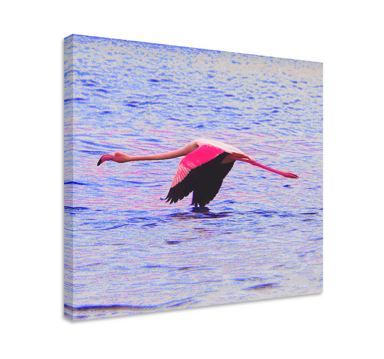 Tablou pești flamingo în zbor - TenStickers